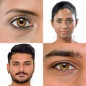 FRESHLOOK COLORBLENDS HONEY COLOURED CONTACT LENSES